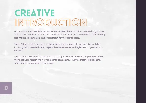 Space Chimp — 3 of 29